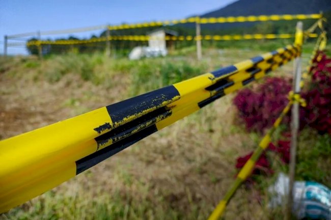 The Future of Land Measurement: 3D Property Surveys and Local Land Surveyors
