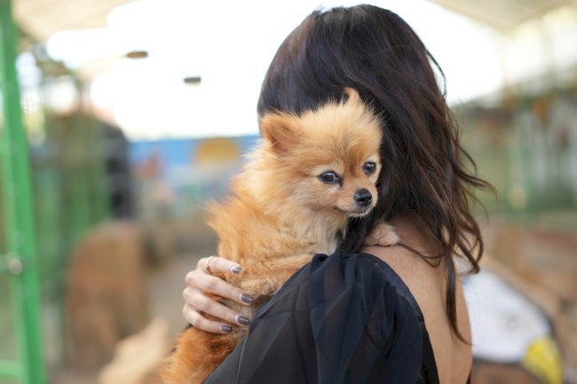 A Pet Lover’s Paradise: Bring Your Furry Friends Along