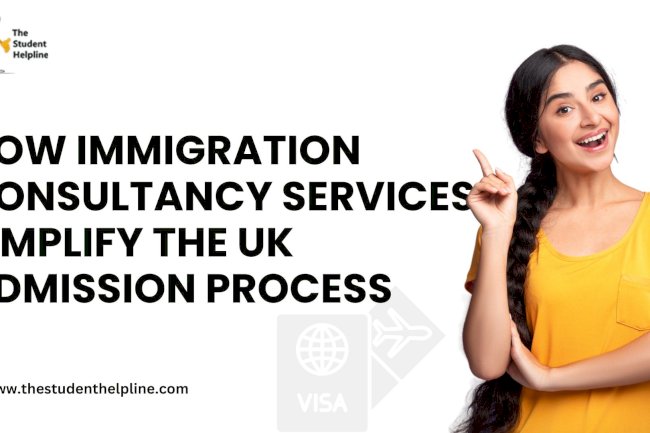 When to Contact an Immigration Consultant During Your Study Abroad Journey