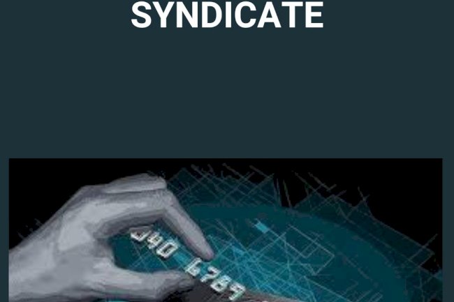 The Rise and Fall of a Dark Web Credit Card Syndicate