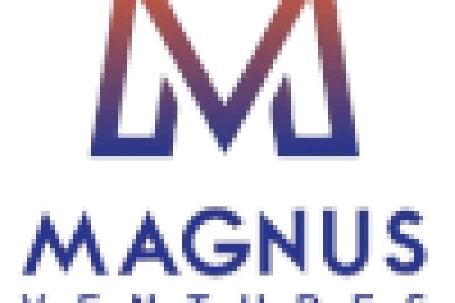 Top Ready Mix Plaster Manufacturers in India – Magnus Ventures