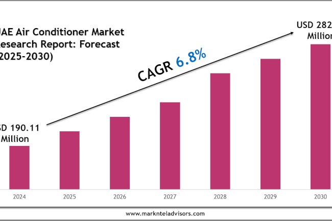 Leading Players & Segments in the UAE Air Conditioners Market 2030