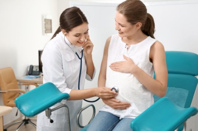 The Journey of Motherhood: Guided by Experts