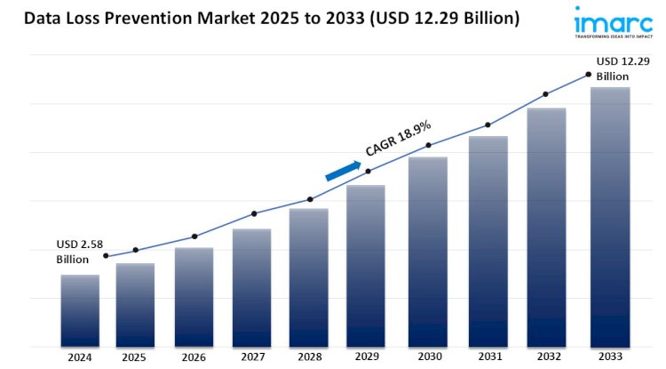 Data Loss Prevention Market Report 2025 | Size, Growth & Forecast by 2033