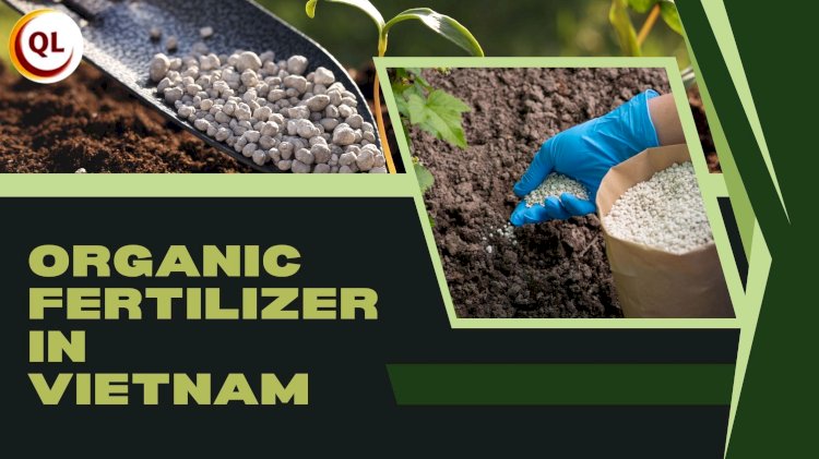 Organic Fertilizer in Vietnam: A Sustainable Farming Revolution