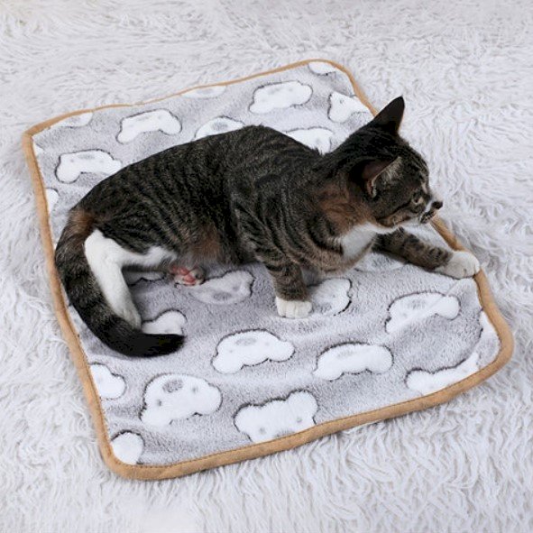 How to Choose the Best Cat Beds for Sale Comfort and Style for Your Feline Friend