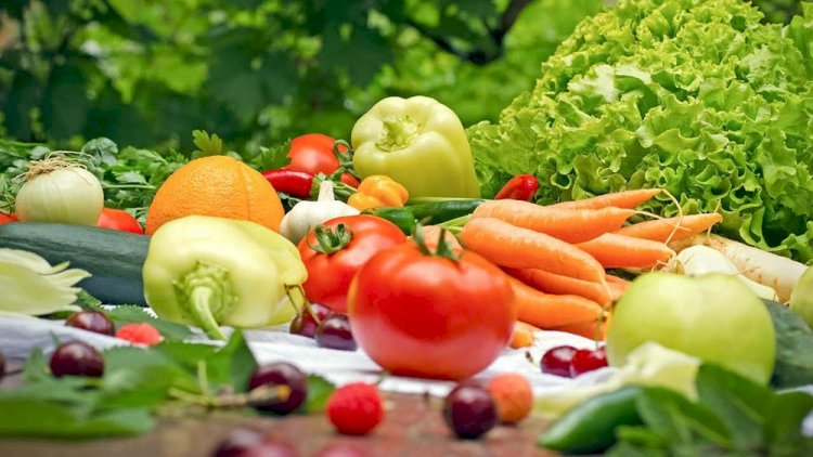 The Rise of Organic Foods: A Healthier and Safer Choice for Modern Living