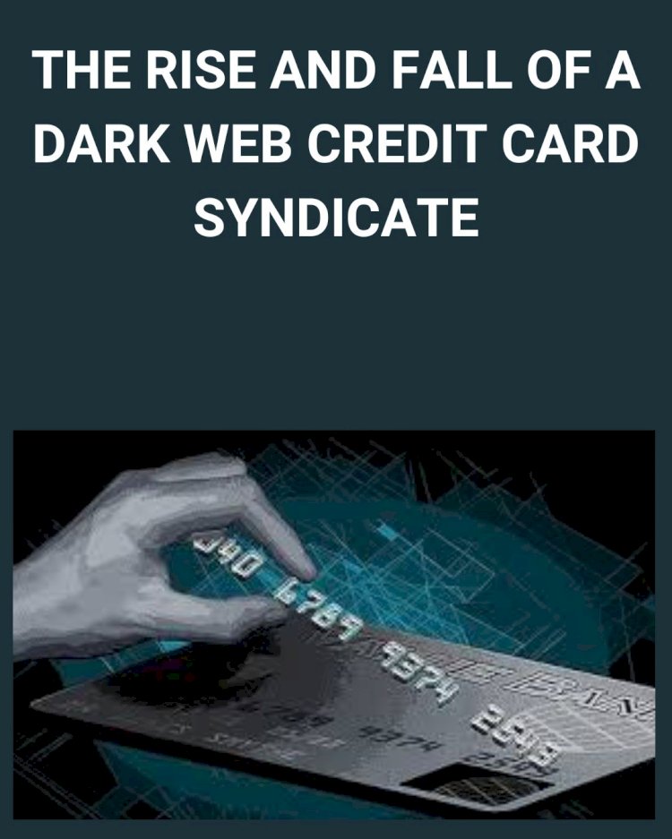 The Rise and Fall of a Dark Web Credit Card Syndicate