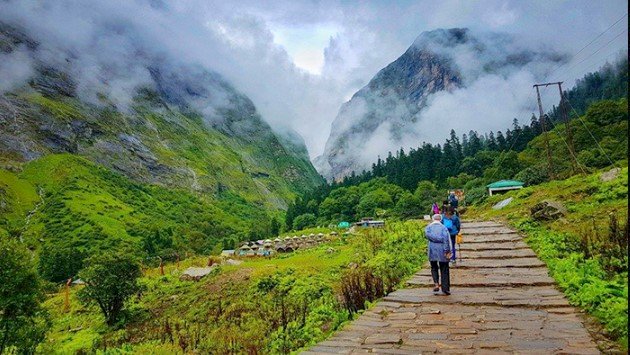 Is the Valley of Flowers Trek Worth It with Himalaya Tribe?
