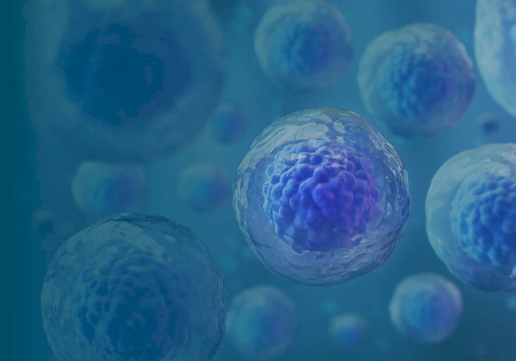 What Are the Benefits of Stem Cell Therapy?