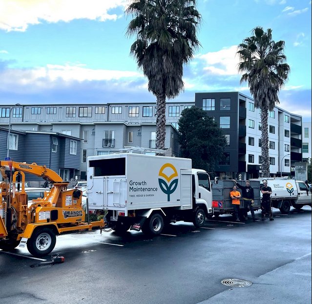 Arborist  Auckland