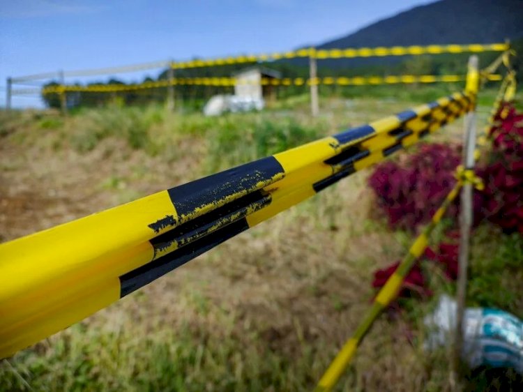 The Future of Accuracy: 3D Property Surveys and Land Surveying Services