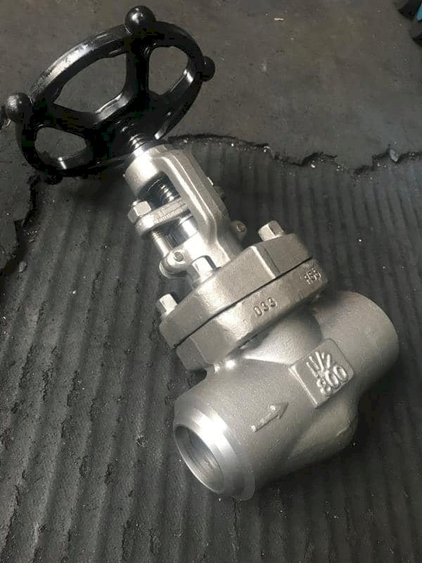 Check Valve Supplier in India
