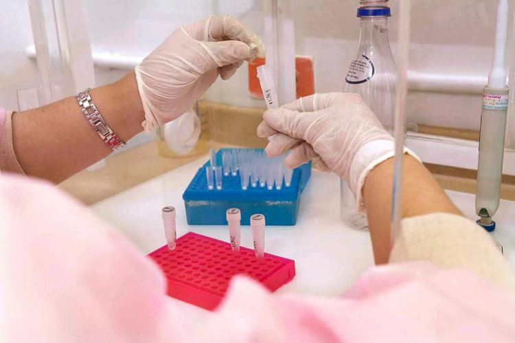 How a Gardnerella Vaginalis Test Helps Rule Out Other Infections